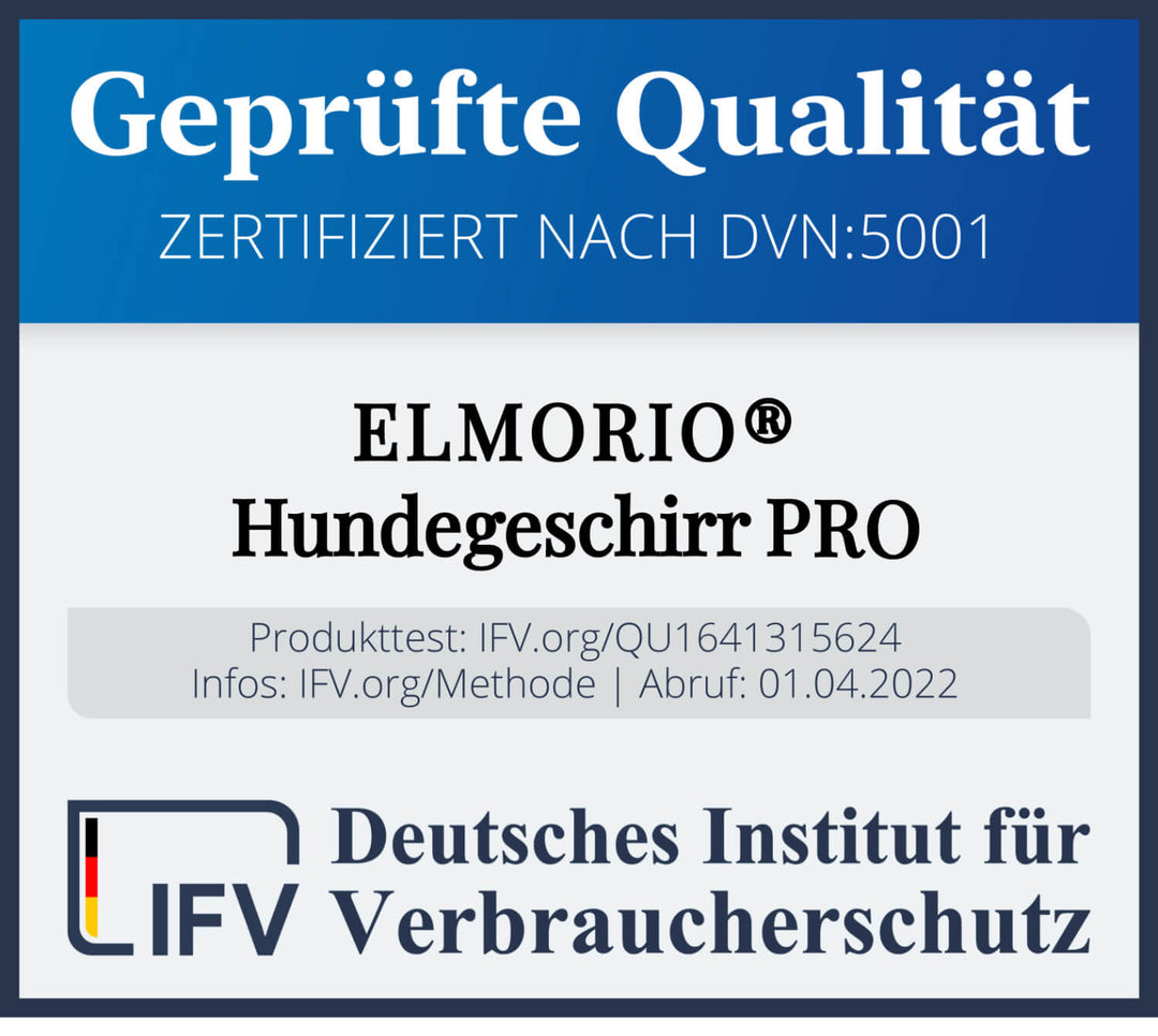 Windhundgeschirr PRO "Tropical Aqua"