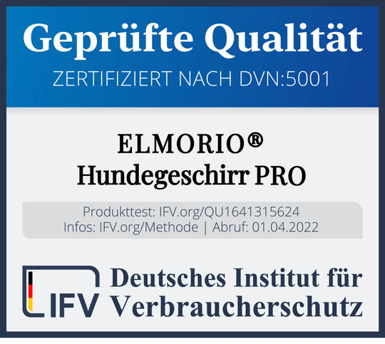 Windhundgeschirr PRO "Tropical Aqua"