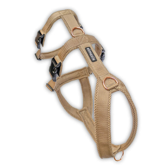 Sicherheitsgeschirr gepolstert für Windhunde wie Whippets, Galgos, Podencos und Greyhounds. Geschirr in beige