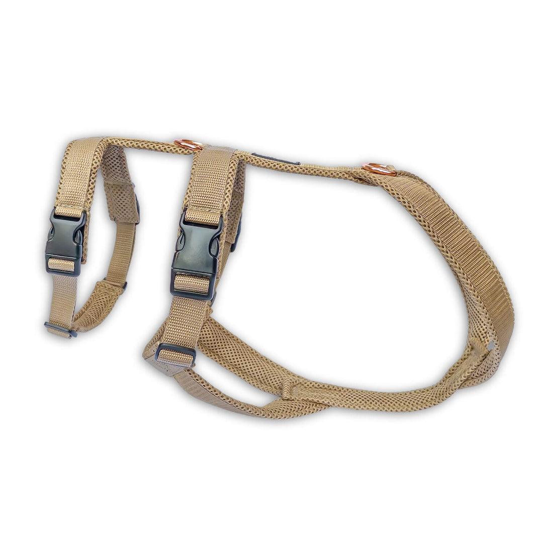 Sicherheitsgeschirr gepolstert für Windhunde wie Whippets, Galgos, Podencos und Greyhounds. Geschirr in beige