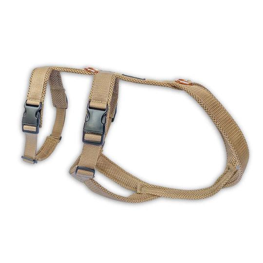 Sicherheitsgeschirr gepolstert für Windhunde wie Whippets, Galgos, Podencos und Greyhounds. Geschirr in beige
