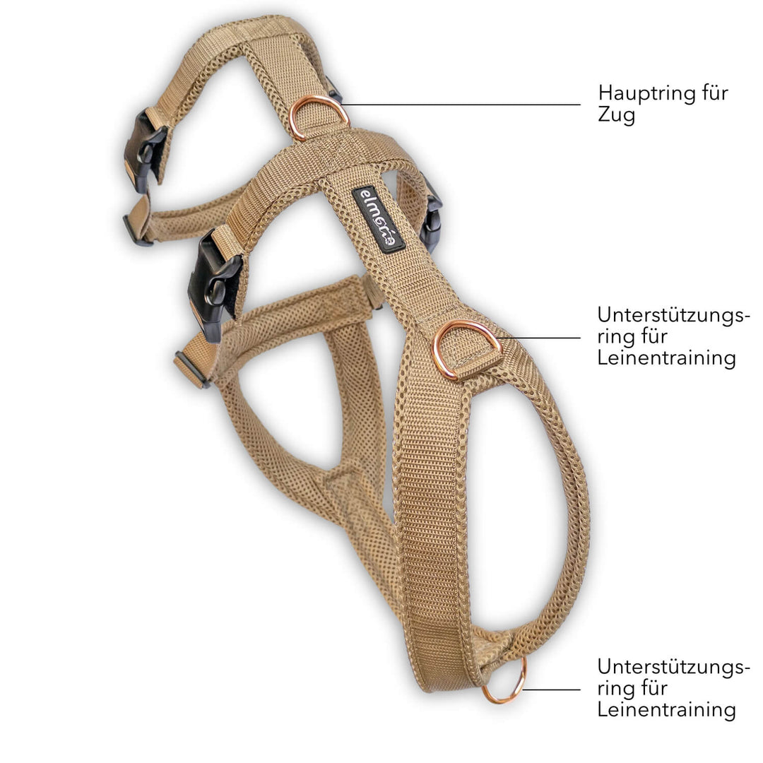 Sicherheitsgeschirr gepolstert für Windhunde wie Whippets, Galgos, Podencos und Greyhounds. Geschirr in beige
Beschriftung der Funktion der einzelnen Ringe zum Anleinen