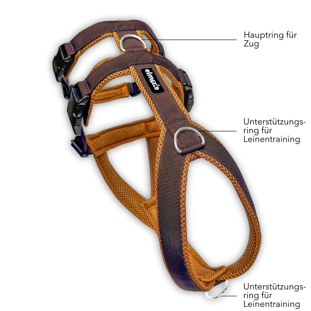 Sicherheitsgeschirr für Windhunde mit drei Ringen: für Zug, Leinenführung und Training – gepolstert, ergonomisch geformt.
