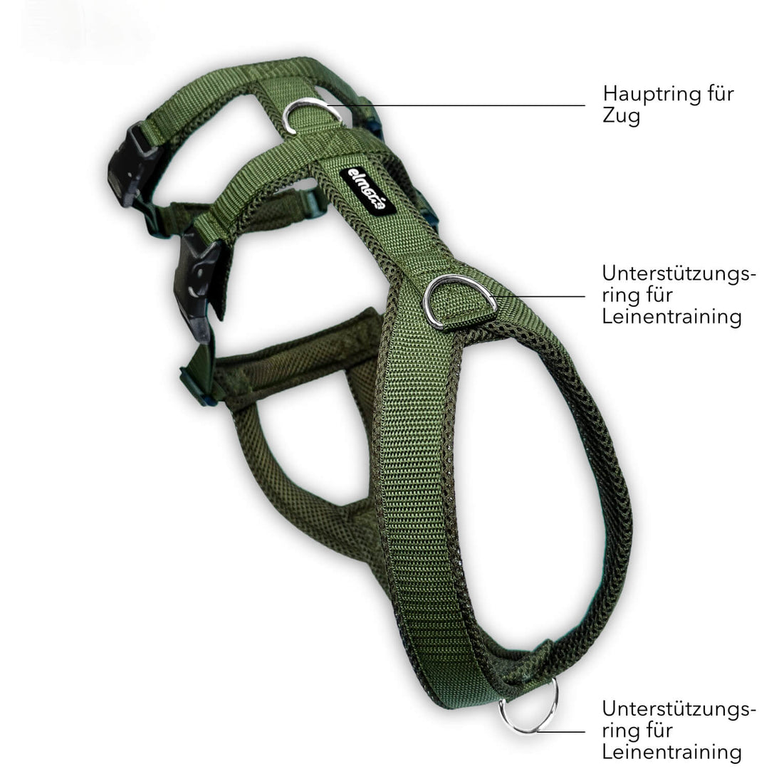 Sicherheitsgeschirr gepolstert für Windhunde wie Whippets, Galgos, Podencos und Greyhounds. Geschirr in khaki grün
Beschriftung der Funktion der einzelnen Ringe zum Anleinen