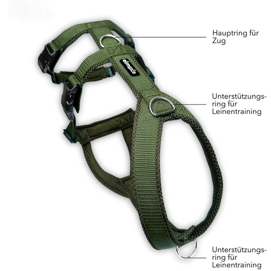 Sicherheitsgeschirr gepolstert für Windhunde wie Whippets, Galgos, Podencos und Greyhounds. Geschirr in khaki grün
Beschriftung der Funktion der einzelnen Ringe zum Anleinen