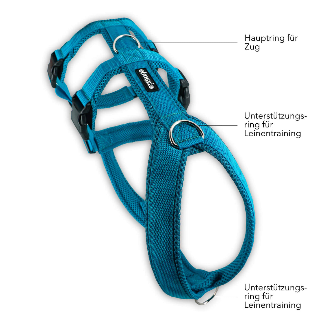 Sicherheitsgeschirr gepolstert für Windhunde wie Whippets, Galgos, Podencos und Greyhounds. Geschirr in petrol
Beschriftung der Funktion der einzelnen Ringe zum Anleinen