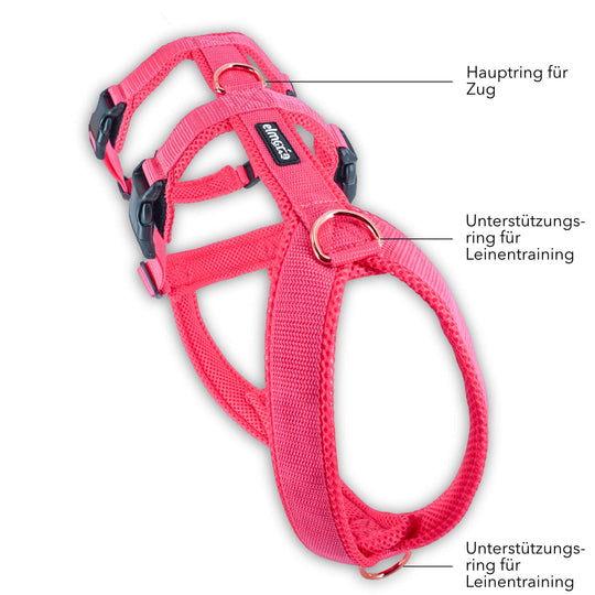 Sicherheitsgeschirr gepolstert für Windhunde wie Whippets, Galgos, Podencos und Greyhounds. Geschirr in pink
Beschriftung der Funktion der einzelnen Ringe zum Anleinen
