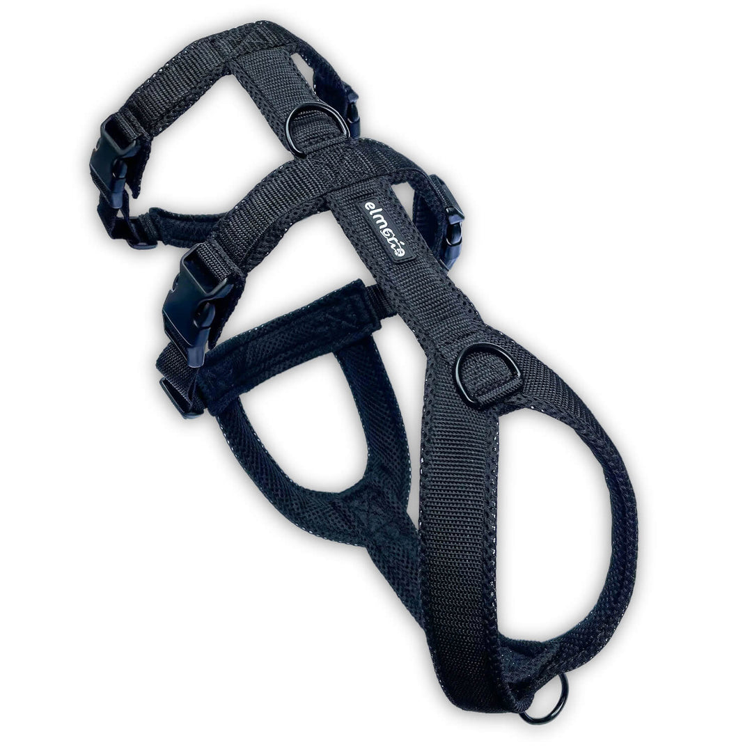 Sicherheitsgeschirr gepolstert für Windhunde wie Whippets, Galgos, Podencos und Greyhounds. Geschirr in schwarz