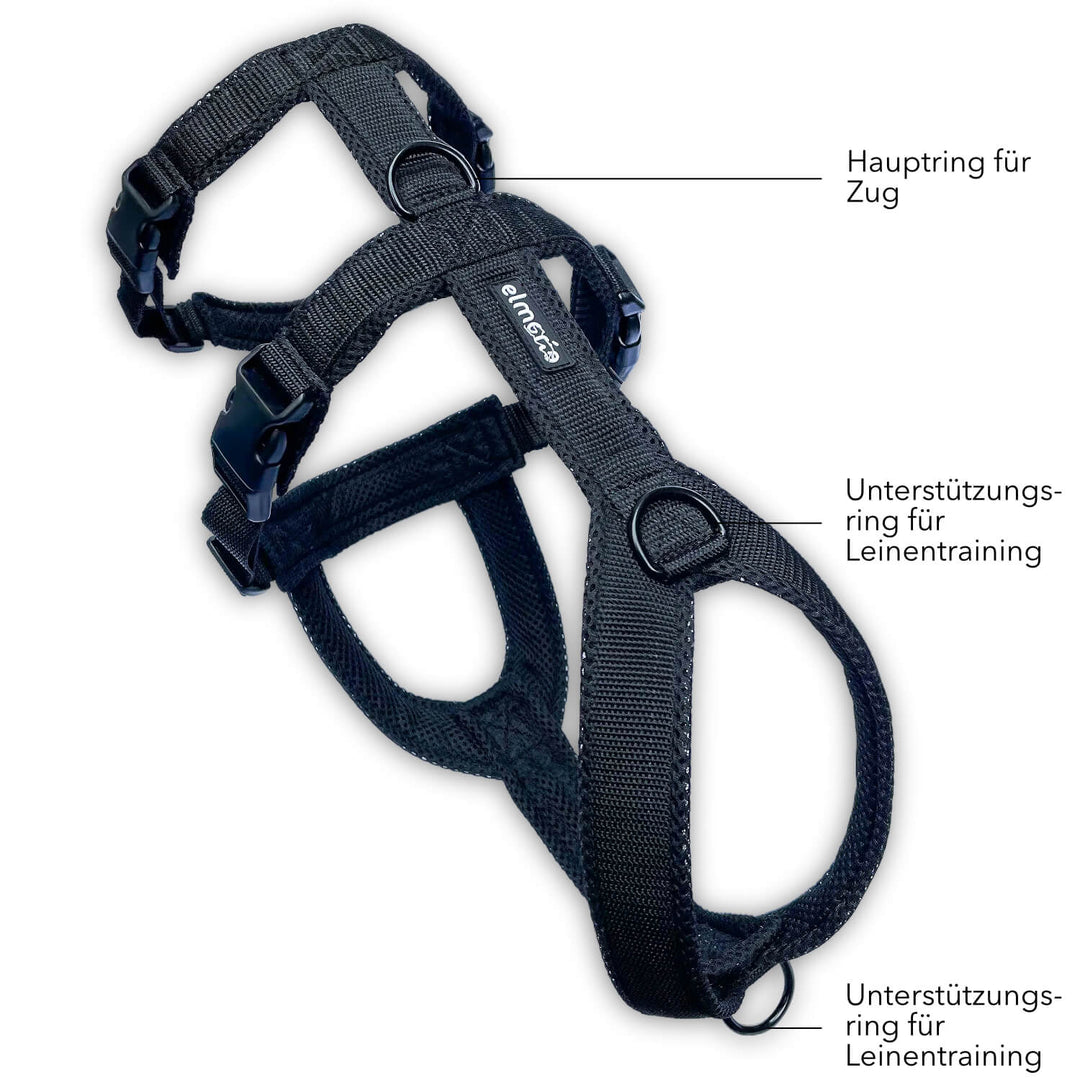 Sicherheitsgeschirr gepolstert für Windhunde wie Whippets, Galgos, Podencos und Greyhounds. Geschirr in schwarz
Beschriftung der Funktion der einzelnen Ringe zum Anleinen