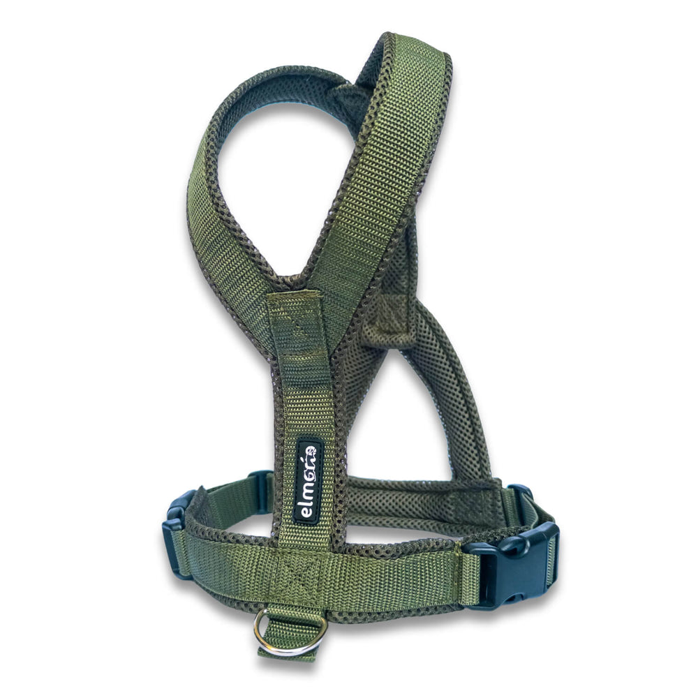 Windhundgeschirr FUN "Mountain Green"