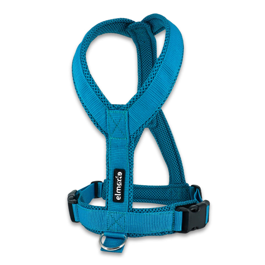 Windhundgeschirr FUN "Tropical Aqua"