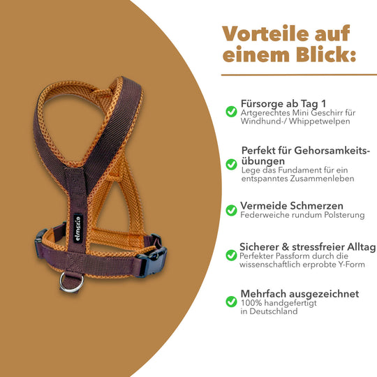 Windhundgeschirr gepolstert Geschirr Whippet, Galgo, Podenco, Greyhound Farbe braun karamell Welpe Benefits