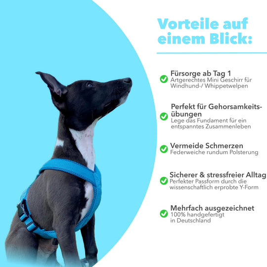 Windhundgeschirr FUN Welpe/Windspiel "Tropical Aqua"