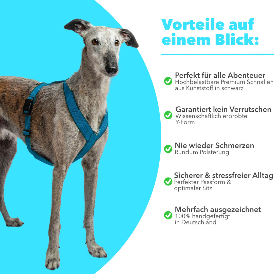 Windhundgeschirr FUN "Tropical Aqua"