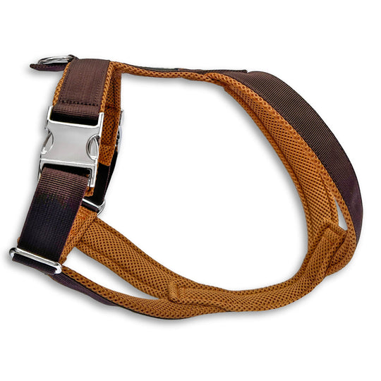 Windhundgeschirr gepolstert Geschirr Whippet, Galgo, Podenco, Greyhound Farbe braun karamell