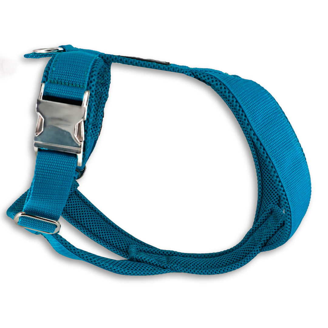 Windhundgeschirr PRO "Tropical Aqua"