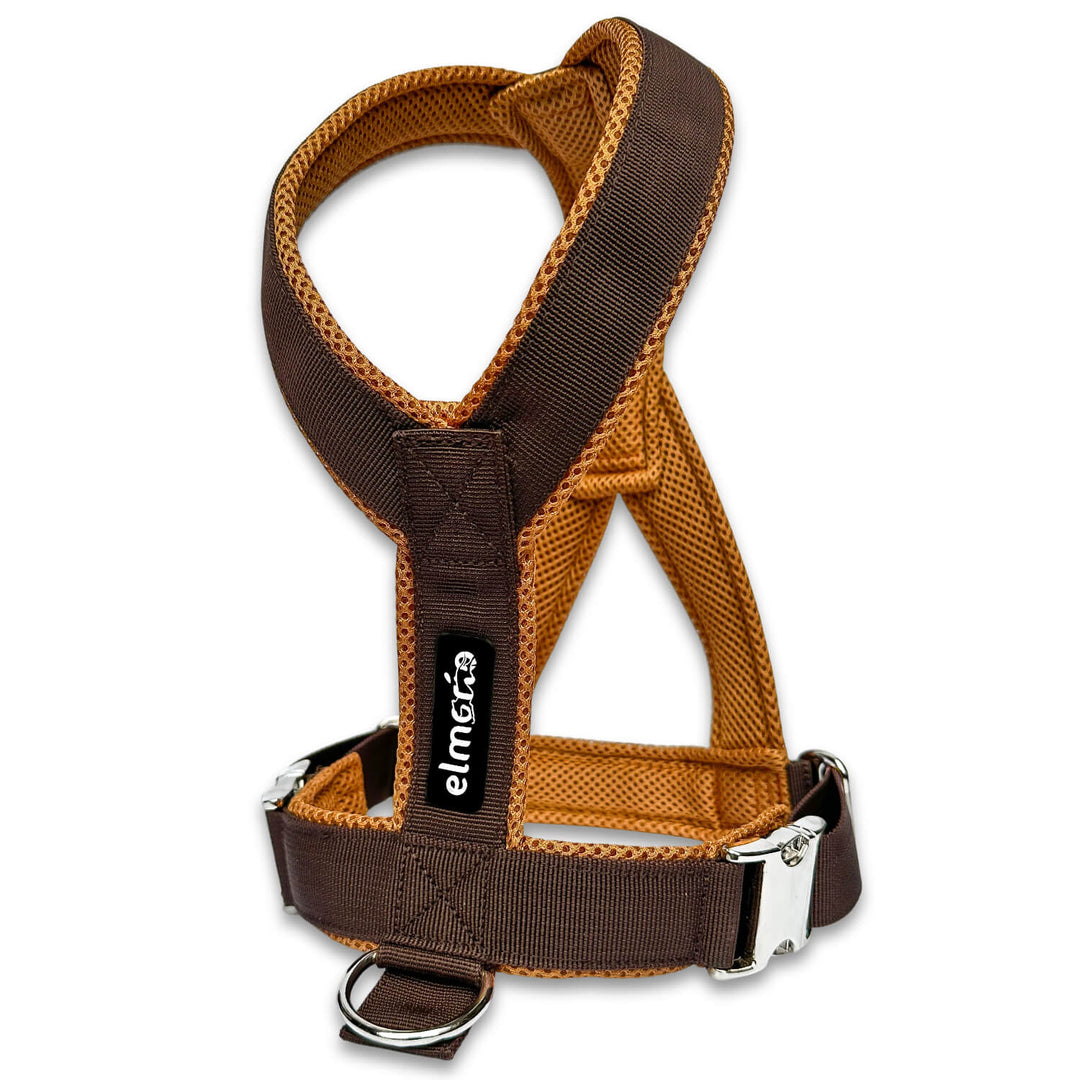 Windhundgeschirr gepolstert Geschirr Whippet, Galgo, Podenco, Greyhound Farbe braun karamell