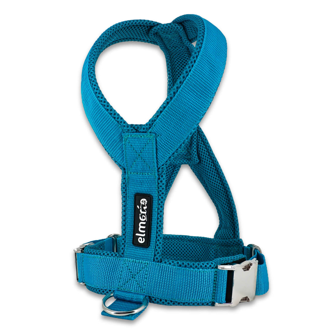 Windhundgeschirr PRO "Tropical Aqua"