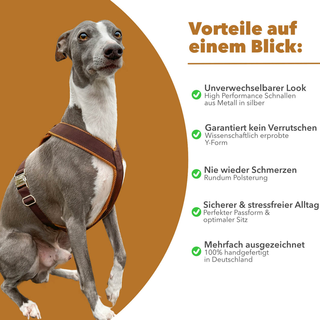 Windhundgeschirr gepolstert Geschirr Whippet, Galgo, Podenco, Greyhound Benefits Farbe braun karamell