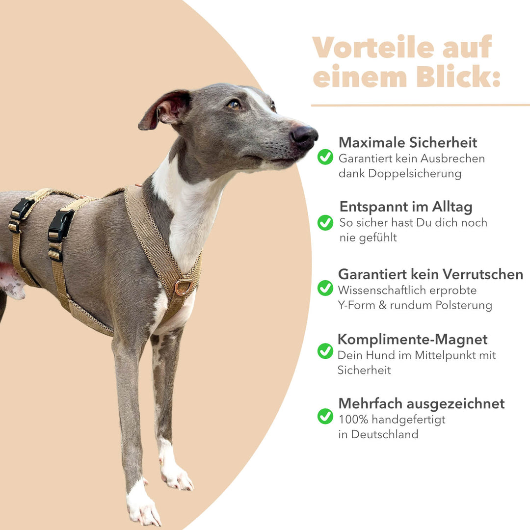 Sicherheitsgeschirr gepolstert für Windhunde wie Whippets, Galgos, Podencos und Greyhounds. Geschirr in beige
Rechts stehen alle Benefits/Vorteile