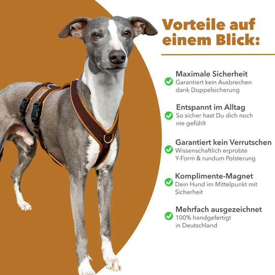 Grauer Whippet mit braunem Sicherheitsgeschirr, daneben Vorteile wie Doppelsicherung, Polsterung und Handarbeit aufgelistet.