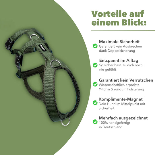 Sicherheitsgeschirr gepolstert für Windhunde wie Whippets, Galgos, Podencos und Greyhounds. Geschirr in khaki grün
Rechts stehen alle Benefits/Vorteile