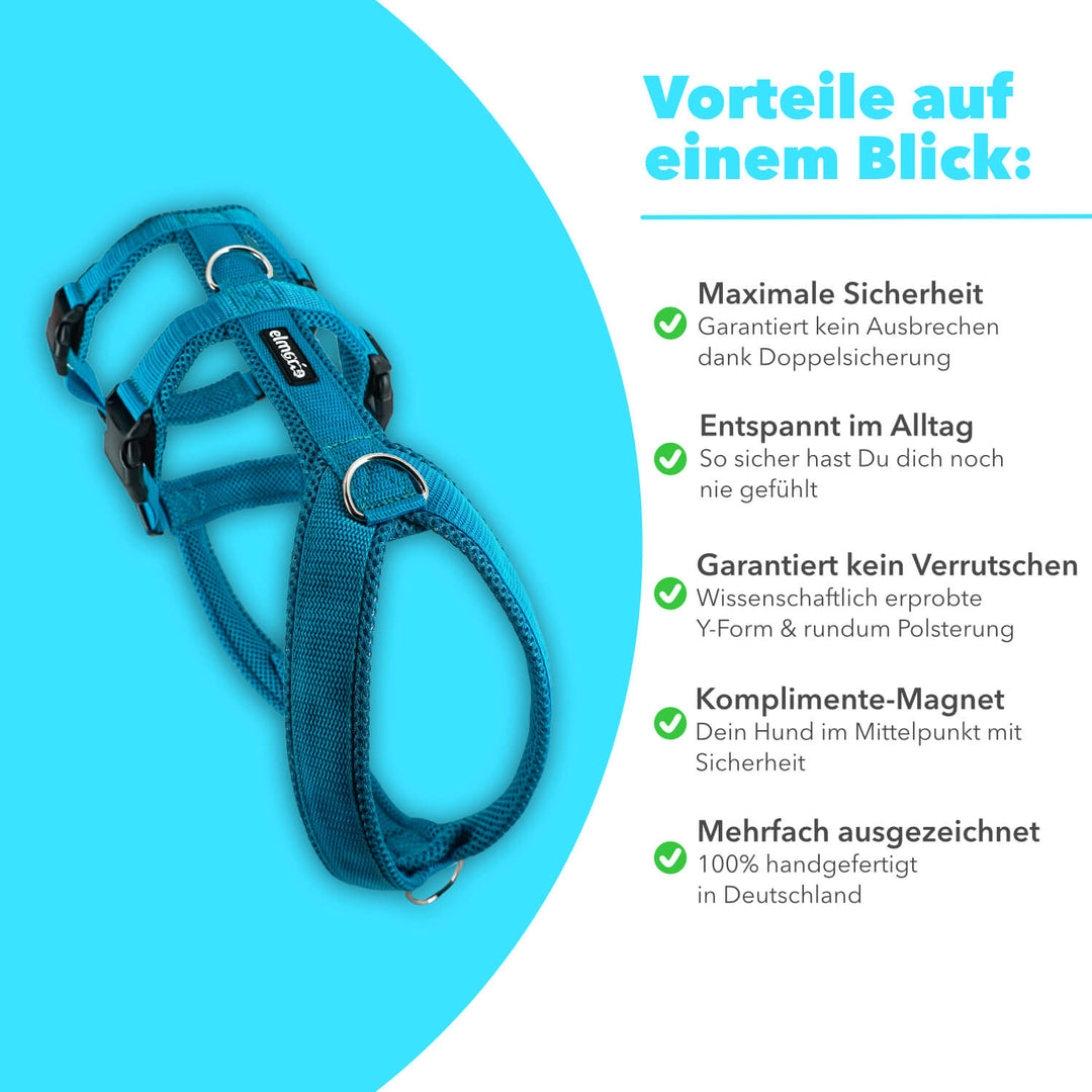 Sicherheitsgeschirr gepolstert für Windhunde wie Whippets, Galgos, Podencos und Greyhounds. Geschirr in petrol
Rechts stehen alle Benefits/Vorteile