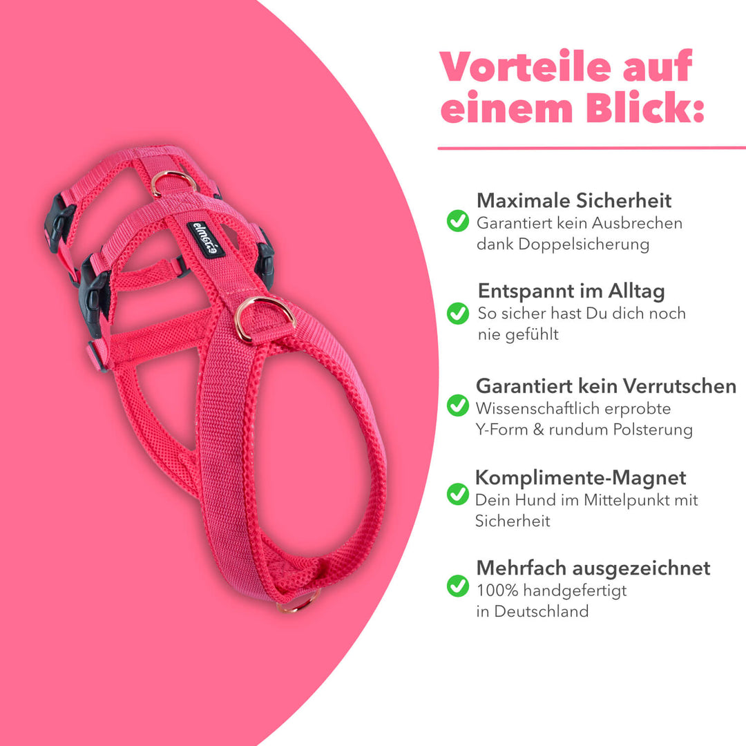 Sicherheitsgeschirr gepolstert für Windhunde wie Whippets, Galgos, Podencos und Greyhounds. Geschirr in pink
Rechts stehen alle Benefits/Vorteile