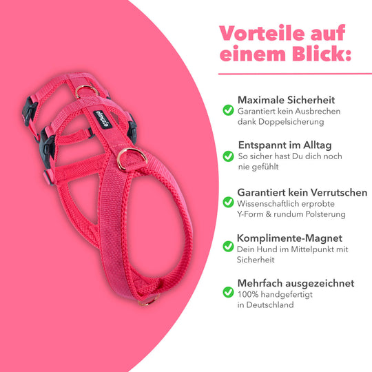 Sicherheitsgeschirr gepolstert für Windhunde wie Whippets, Galgos, Podencos und Greyhounds. Geschirr in pink
Rechts stehen alle Benefits/Vorteile