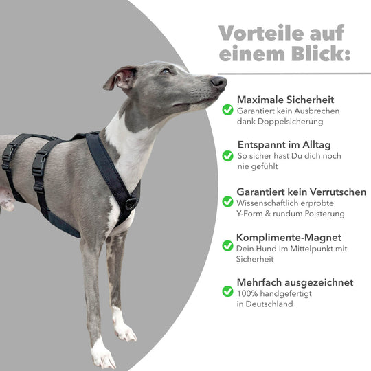 Sicherheitsgeschirr gepolstert für Windhunde wie Whippets, Galgos, Podencos und Greyhounds. Geschirr in schwarz
Rechts stehen alle Benefits/Vorteile
