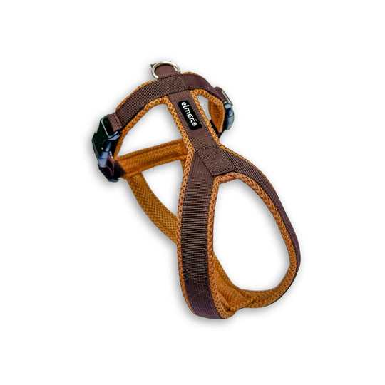 Windhundgeschirr gepolstert Geschirr Whippet, Galgo, Podenco, Greyhound Farbe braun karamell Welpe