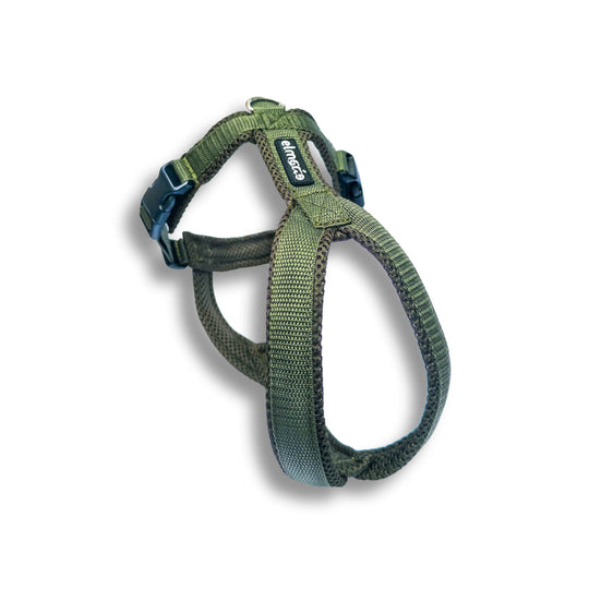 Windhundgeschirr FUN Welpe/Windspiel "Mountain Green"