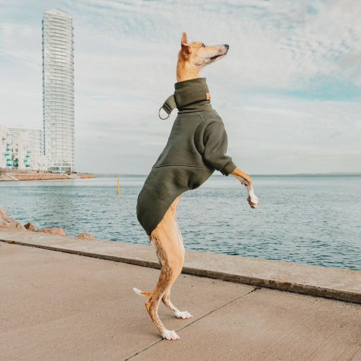 Aspen Mini "Bordeaux"