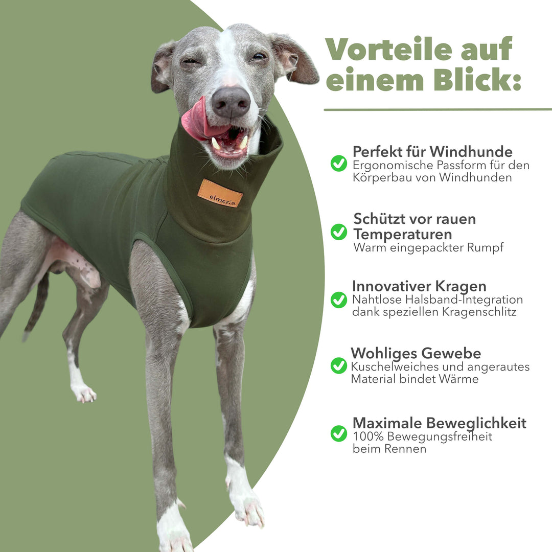 Windhund Pullover in kahki grün Pullover für Windhunde, Whippet, Galgo, Podenco, Greyhound Benefits