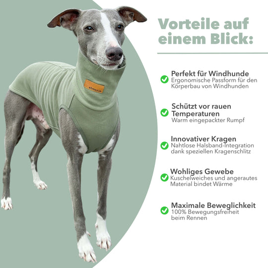 Windhund Pullover in hellgrün Pullover für Windhunde, Whippet, Galgo, Podenco, Greyhound Benefits