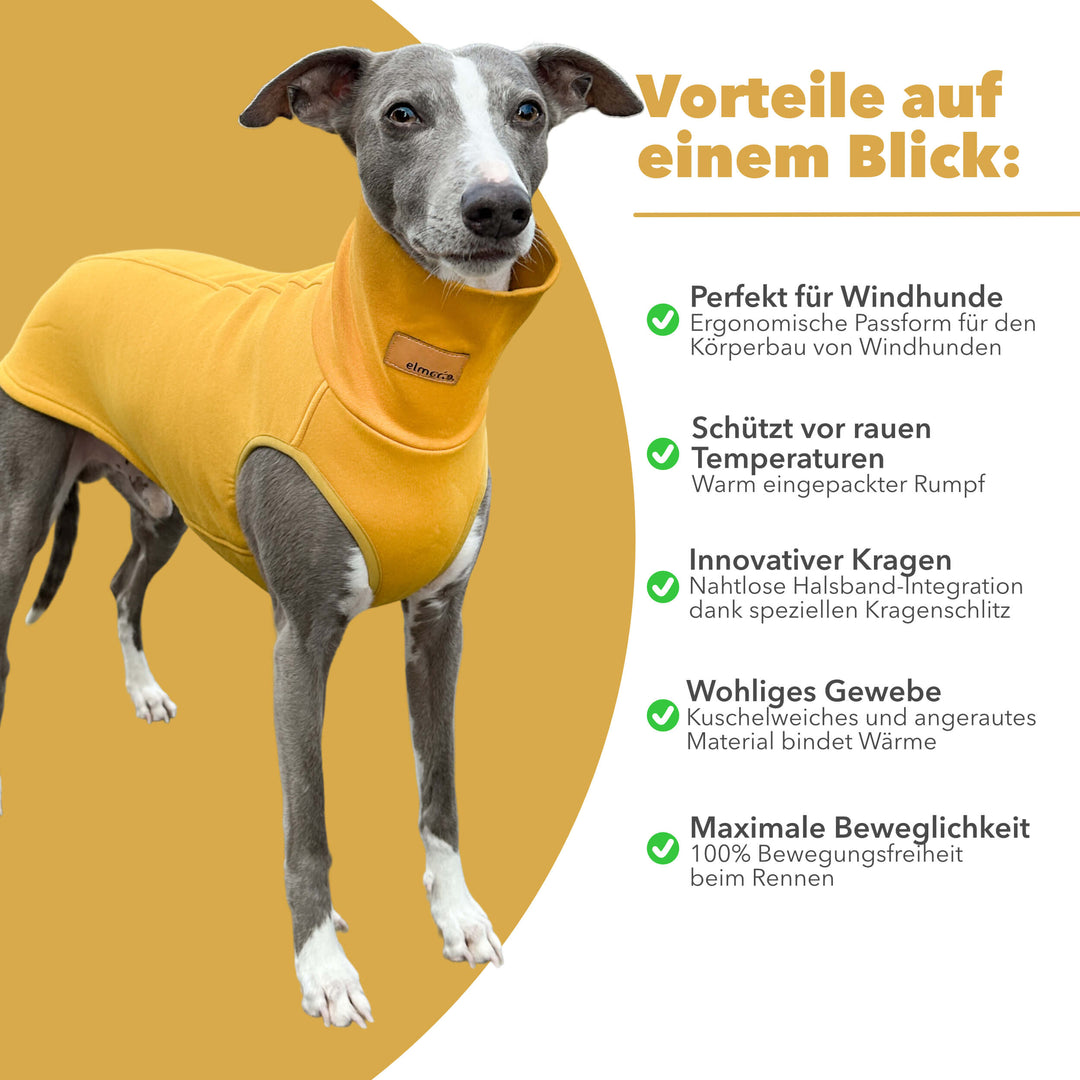 Windhund Pullover in gelb Pullover für Windhunde, Whippet, Galgo, Podenco, Greyhound Benefits