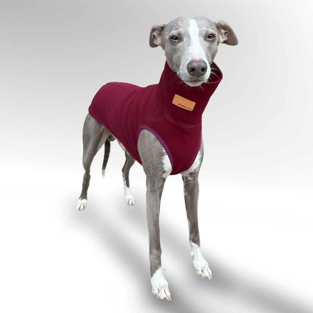 Windhund Pullover in bordeaux rot Pullover für Windhunde, Whippet, Galgo, Podenco, Greyhound