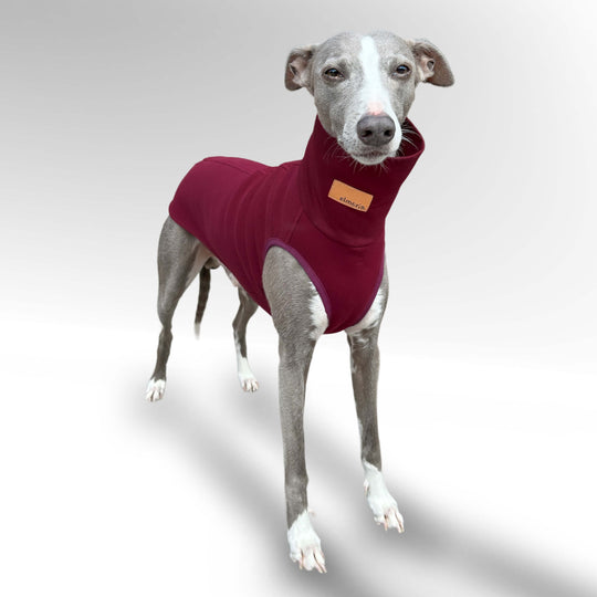 Windhund Pullover in bordeaux rot Pullover für Windhunde, Whippet, Galgo, Podenco, Greyhound