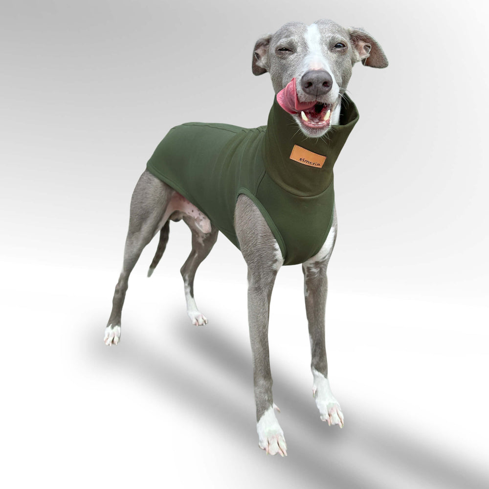 Windhund Pullover in khaki grün Pullover für Windhunde, Whippet, Galgo, Podenco, Greyhound