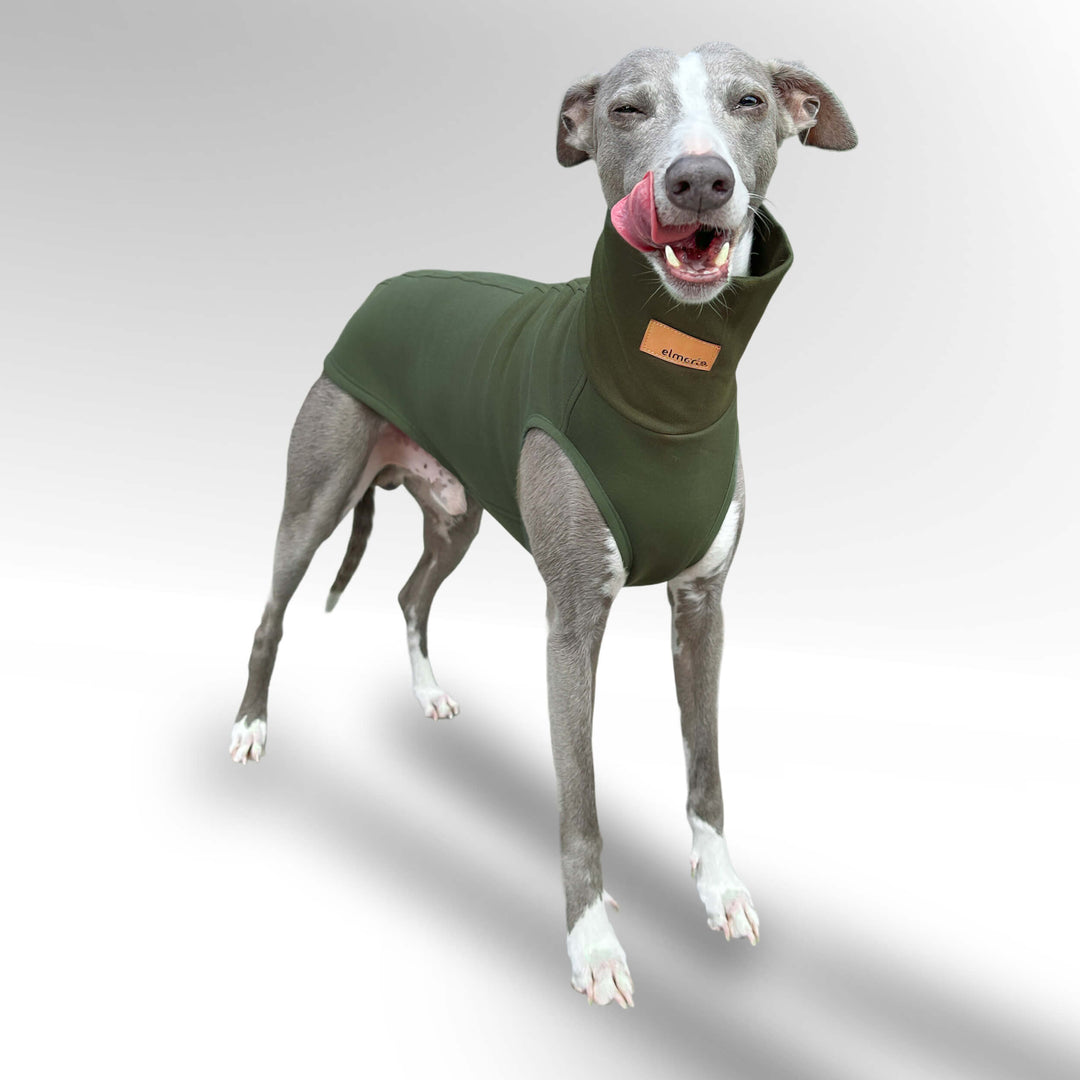 Windhund Pullover in khaki grün Pullover für Windhunde, Whippet, Galgo, Podenco, Greyhound