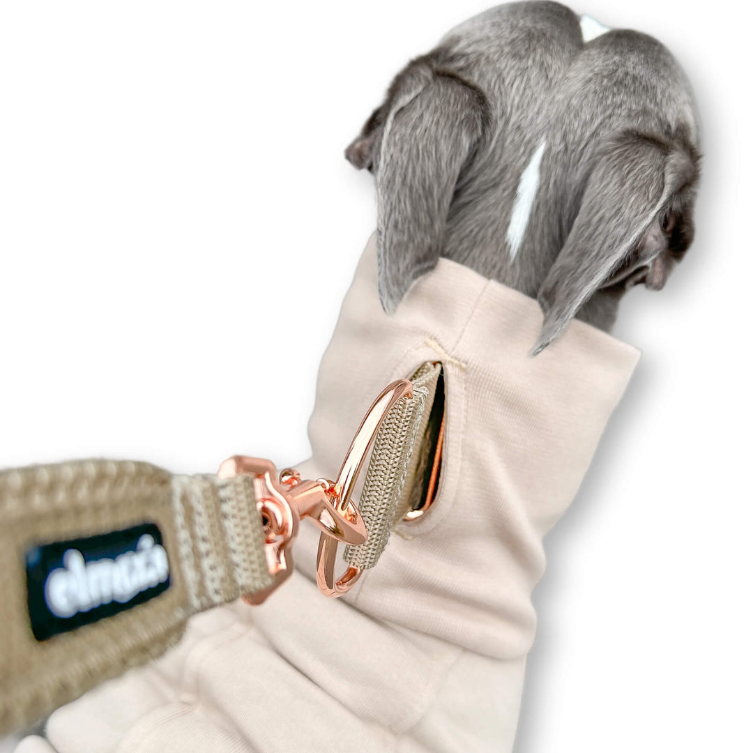 Windhund Pullover in hellbeige Pullover für Windhunde, Whippet, Galgo, Podenco, Greyhound Kragenschlitz