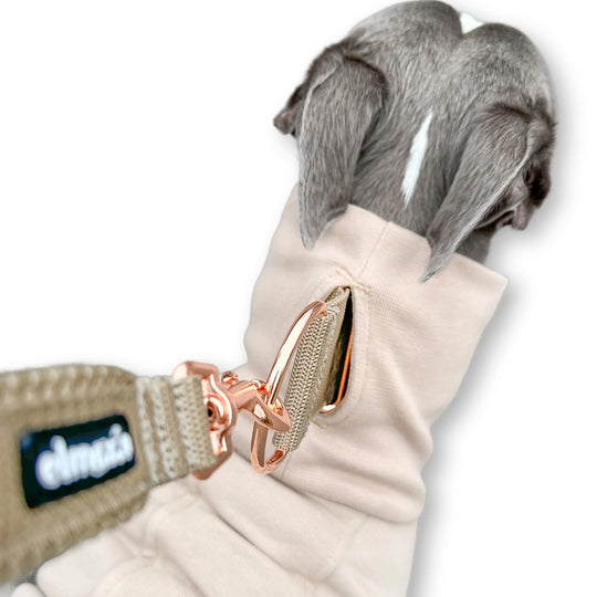 Windhund Pullover in hellbeige Pullover für Windhunde, Whippet, Galgo, Podenco, Greyhound Kragenschlitz