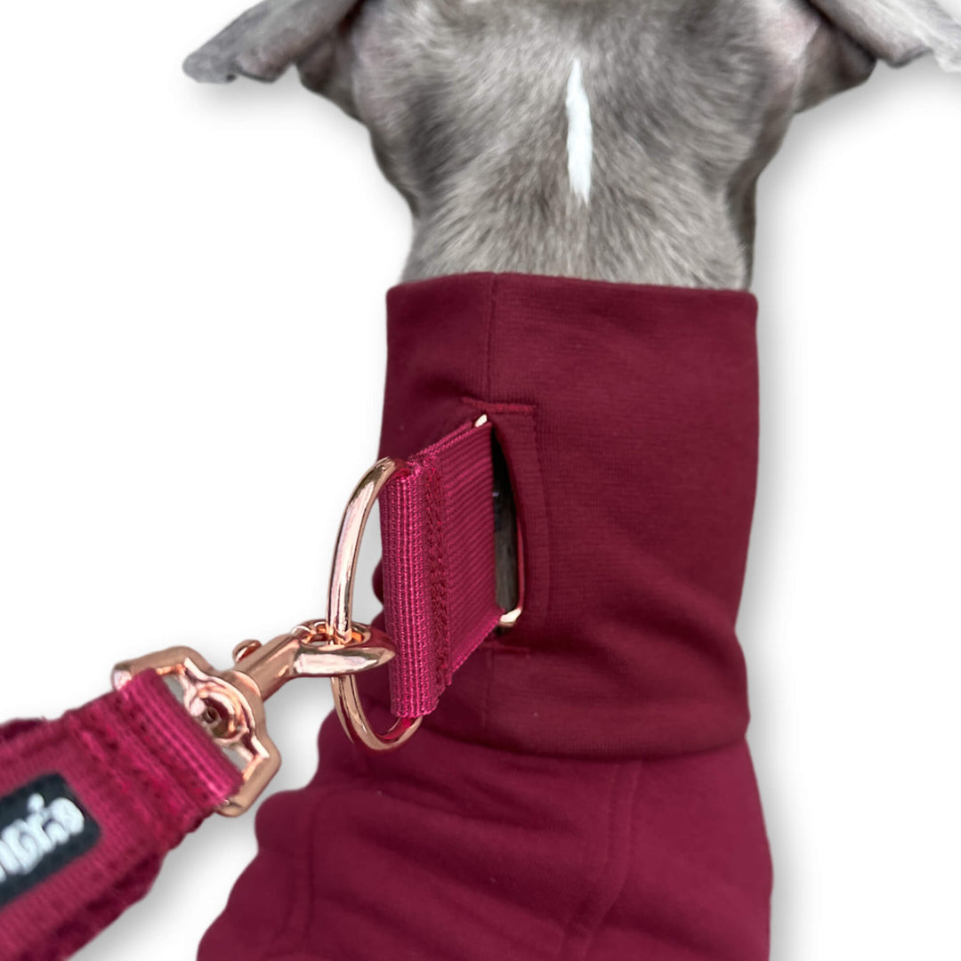 Windhund Pullover in bordeaux rot Pullover für Windhunde, Whippet, Galgo, Podenco, Greyhound Kragenschlitz