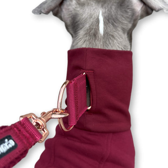 Windhund Pullover in bordeaux rot Pullover für Windhunde, Whippet, Galgo, Podenco, Greyhound Kragenschlitz