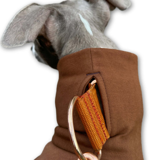 Windhund Pullover in braun Pullover für Windhunde, Whippet, Galgo, Podenco, Greyhound Kragenschlitz