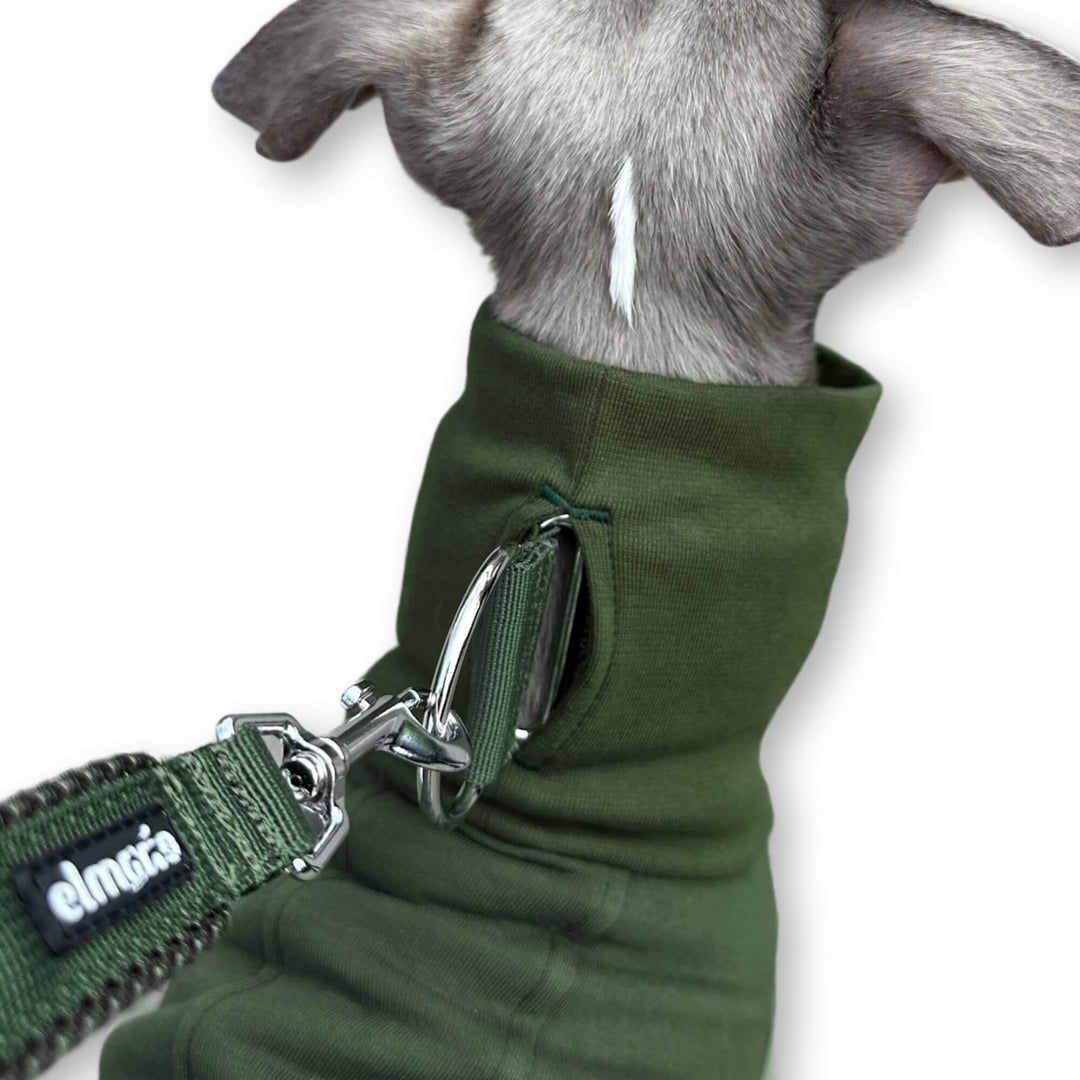 Windhund Pullover in khaki grün Pullover für Windhunde, Whippet, Galgo, Podenco, Greyhound Kragenschlitz