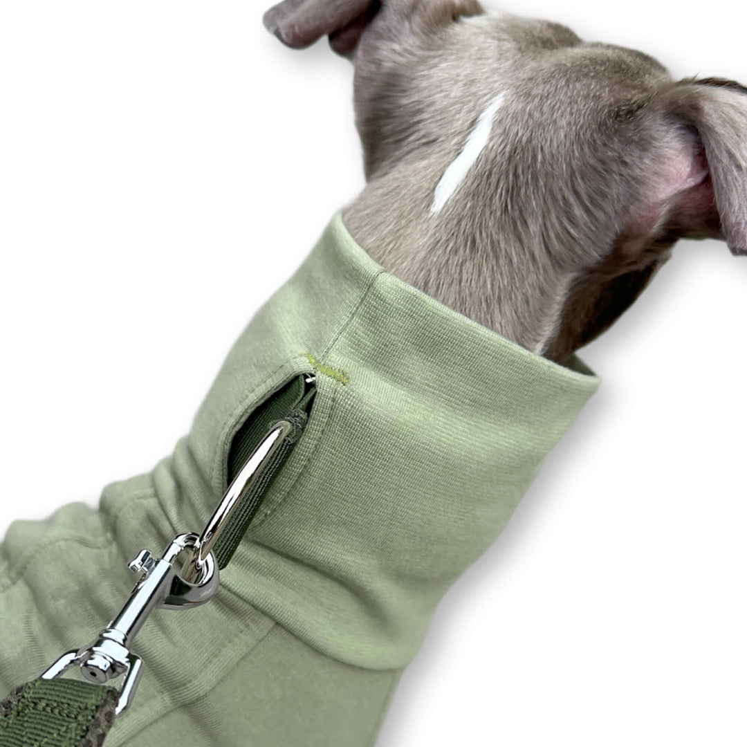 Windhund Pullover in hellgrün Pullover für Windhunde, Whippet, Galgo, Podenco, Greyhound Kragenschlitz