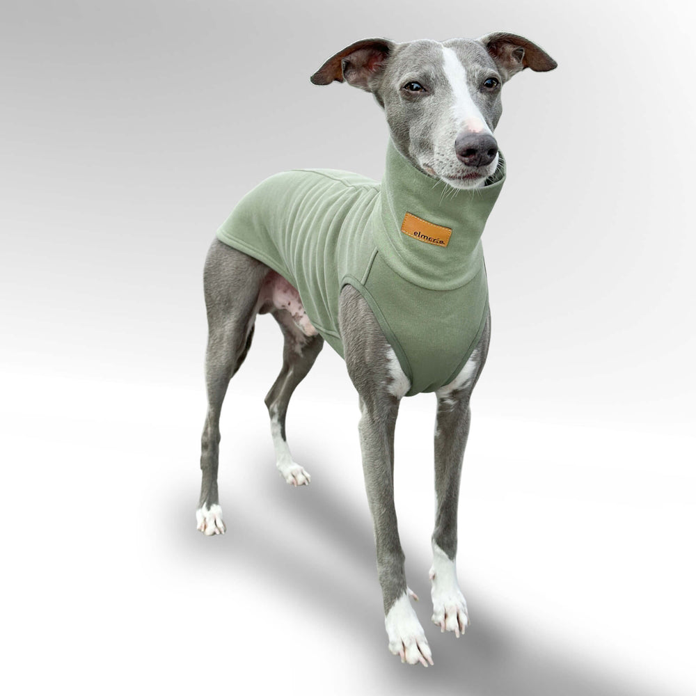 Windhund Pullover in hellgrün Pullover für Windhunde, Whippet, Galgo, Podenco, Greyhound