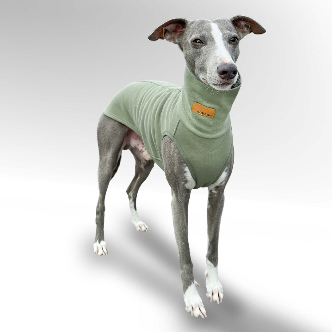 Windhund Pullover in hellgrün Pullover für Windhunde, Whippet, Galgo, Podenco, Greyhound