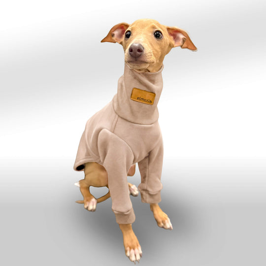 Ein italienisches Windspiel-Welpe trägt einen beigen Pullover mit langen Ärmeln und einem hohen Kragen. Der Welpe sitzt aufmerksam mit großen, wachen Augen und leicht geneigtem Kopf vor einem neutralen, weißen Hintergrund. Der Pullover ist ergonomisch an die schlanke Körperform des Windspiels angepasst und bietet eine gemütliche Passform.